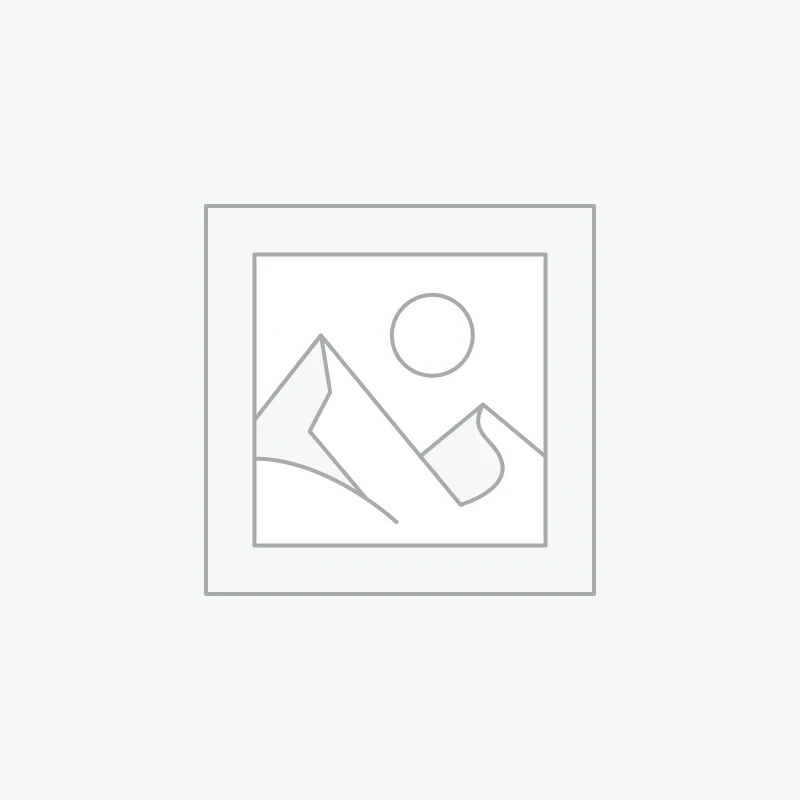 Barbecue à fumoir Nevada XL Noir